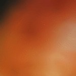 Pavo relleno sureño (pan de maíz)