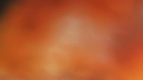 Pavo relleno sureño (pan de maíz)