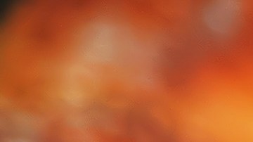 Pavo relleno sureño (pan de maíz)