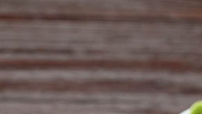 ensalada mediterranea de tomate aceitunas y queso feta