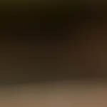 hamburguesa con jalapeños