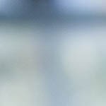 poutine papas fritas canadienses