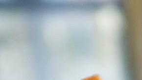 poutine papas fritas canadienses