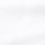 salteado de carne con bok coy