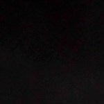 Salteado de champiñones con pimiento y cebolla