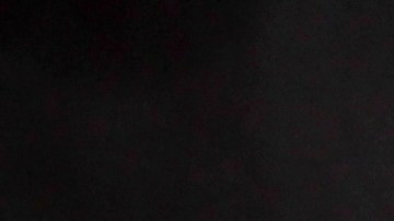 Salteado de champiñones con pimiento y cebolla