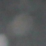 salteado seitán con vegetales