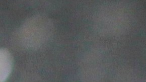 salteado seitán con vegetales