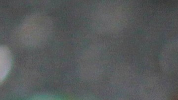 salteado seitán con vegetales