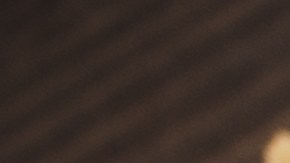 Tarta de avellanas y chocolate