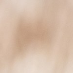 burrito de carne molida