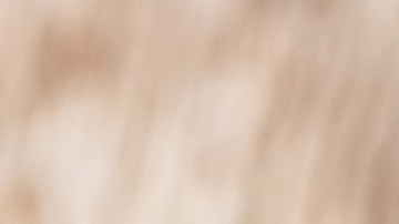 burrito de carne molida