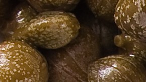 Pimientos rellenos de merluza