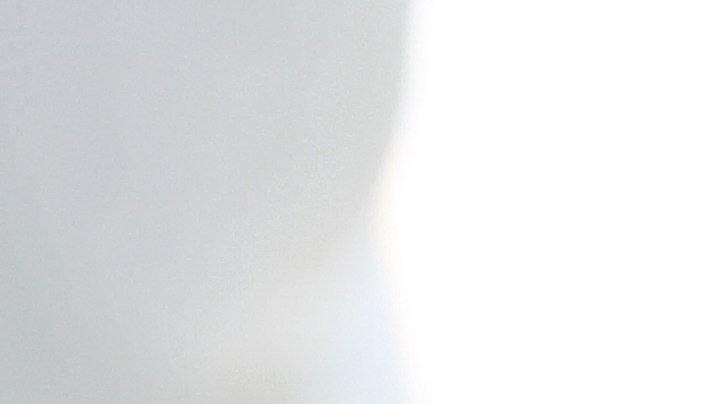 Calabacines rellenos de lentejas y zanahorias.