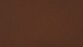 Burrito de Cerdo "Pulled pork"