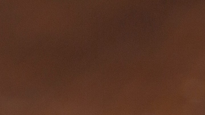 Burrito de Cerdo "Pulled pork"