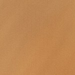 cebolla rellena de carne