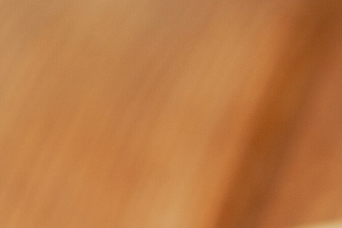 cebolla rellena de carne