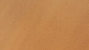 cebolla rellena de carne