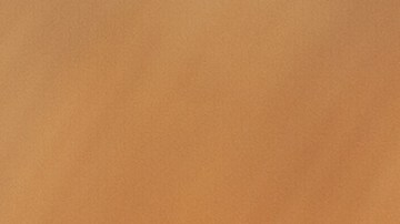 cebolla rellena de carne