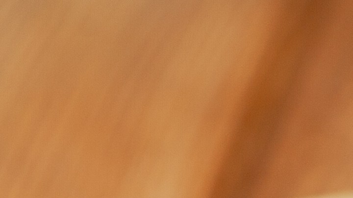 cebolla rellena de carne