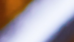 Cebolla rellena de bonito