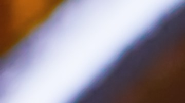 Cebolla rellena de bonito