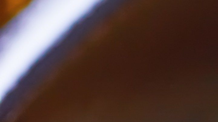 Cebolla rellena de bonito