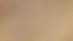 Burrito para el desayuno