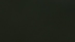 Pimientos rellenos de gambas