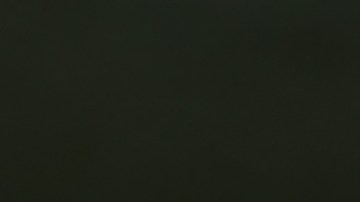 Pimientos rellenos de gambas