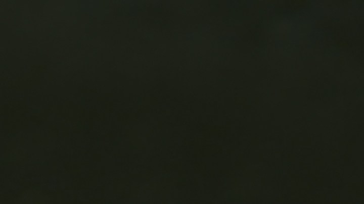 Pimientos rellenos de gambas