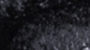 calabacines rellenos de jamón serrano y setas