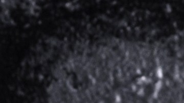 calabacines rellenos de jamón serrano y setas