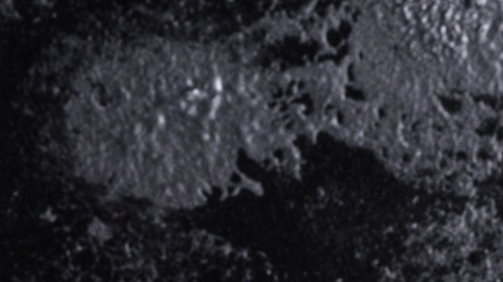 calabacines rellenos de jamón serrano y setas