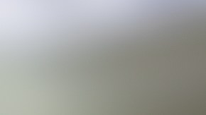 Marlin,Steak,(baked,Fish),Accompanied,By,Salads,And,Steamed,Vegetables.