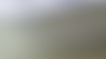 Marlin,Steak,(baked,Fish),Accompanied,By,Salads,And,Steamed,Vegetables.