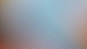 Burrito de pollo picante