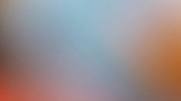 Burrito de pollo picante