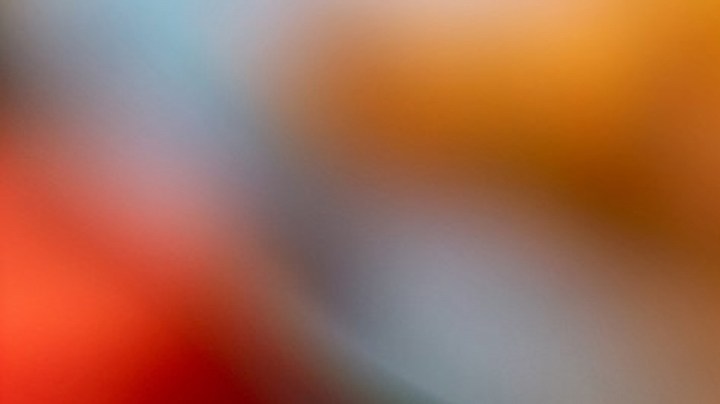 Burrito de pollo picante