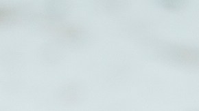 Burrito pilly Cheese Steak