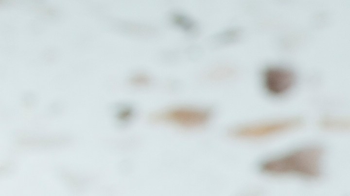 Burrito pilly Cheese Steak