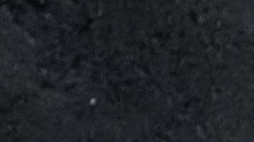 Berenjenas rellenas de arroz y espinacas