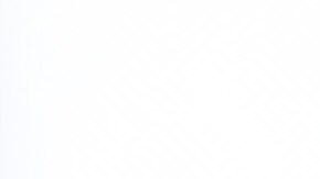 Burrito de Tofu y Vegetales​