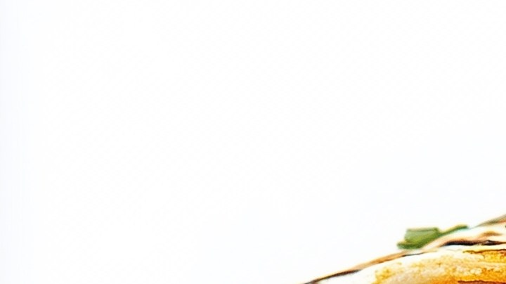 Burrito de Tofu y Vegetales​