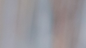 Pimientos rellenos de quinoa.