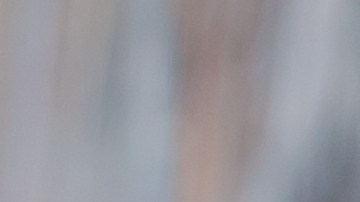 Pimientos rellenos de quinoa.