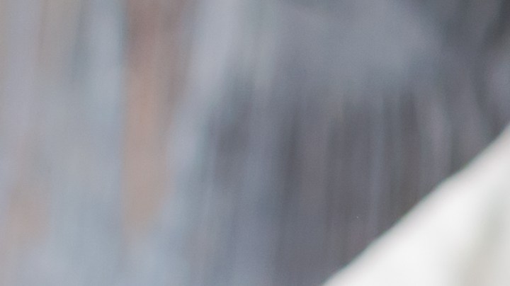 Pimientos rellenos de quinoa.