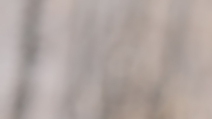 Calabacines rellenos de setas y queso