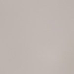 burrito de pollo con guacamole